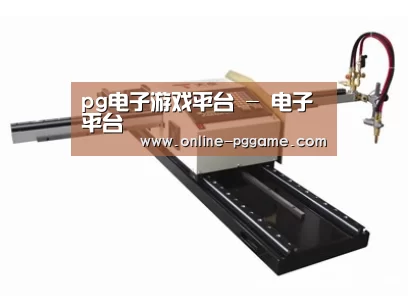 案例展示一