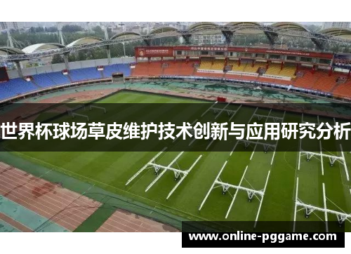 世界杯球场草皮维护技术创新与应用研究分析
