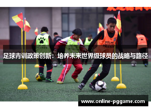足球青训政策创新：培养未来世界级球员的战略与路径