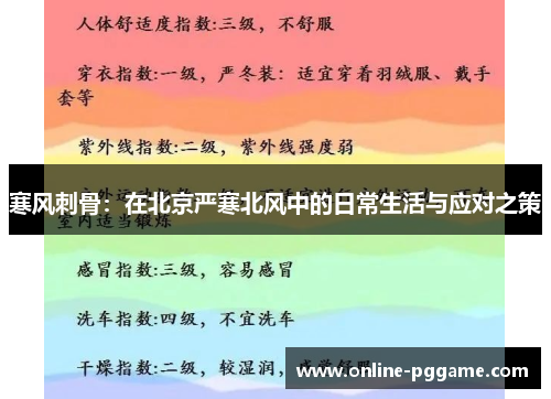 寒风刺骨：在北京严寒北风中的日常生活与应对之策
