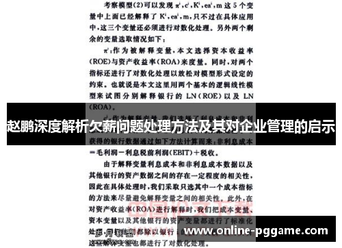 赵鹏深度解析欠薪问题处理方法及其对企业管理的启示