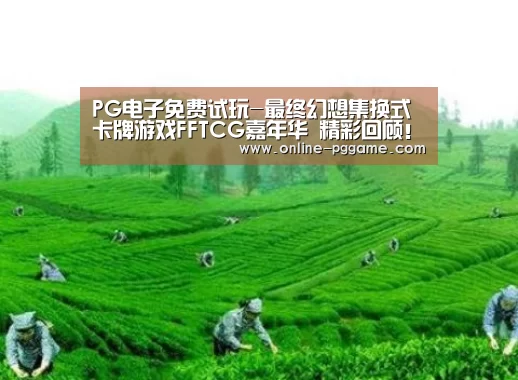 PG电子免费试玩-最终幻想集换式卡牌游戏