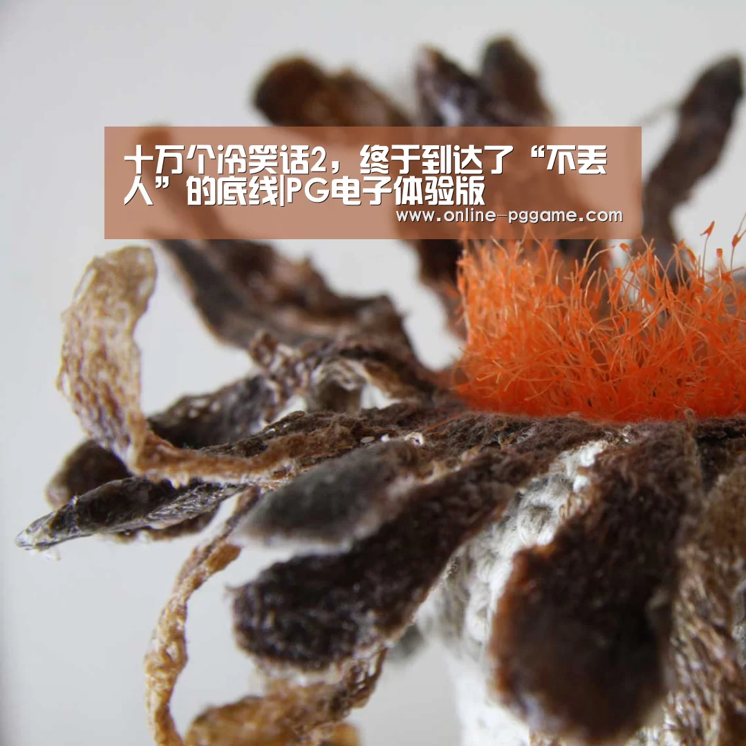 十万个冷笑话2,终于到达了“不丢人”的底线|PG电子体验版(图2) PG电子试玩