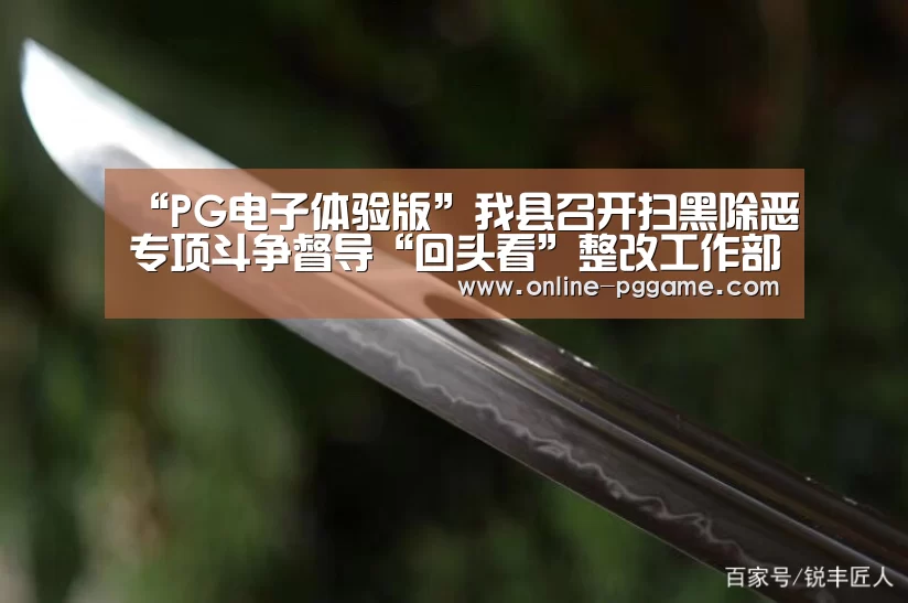“PG电子体验版”我县召开扫黑除恶专项斗争督导“回头看”整改工作部署暨开展“百日